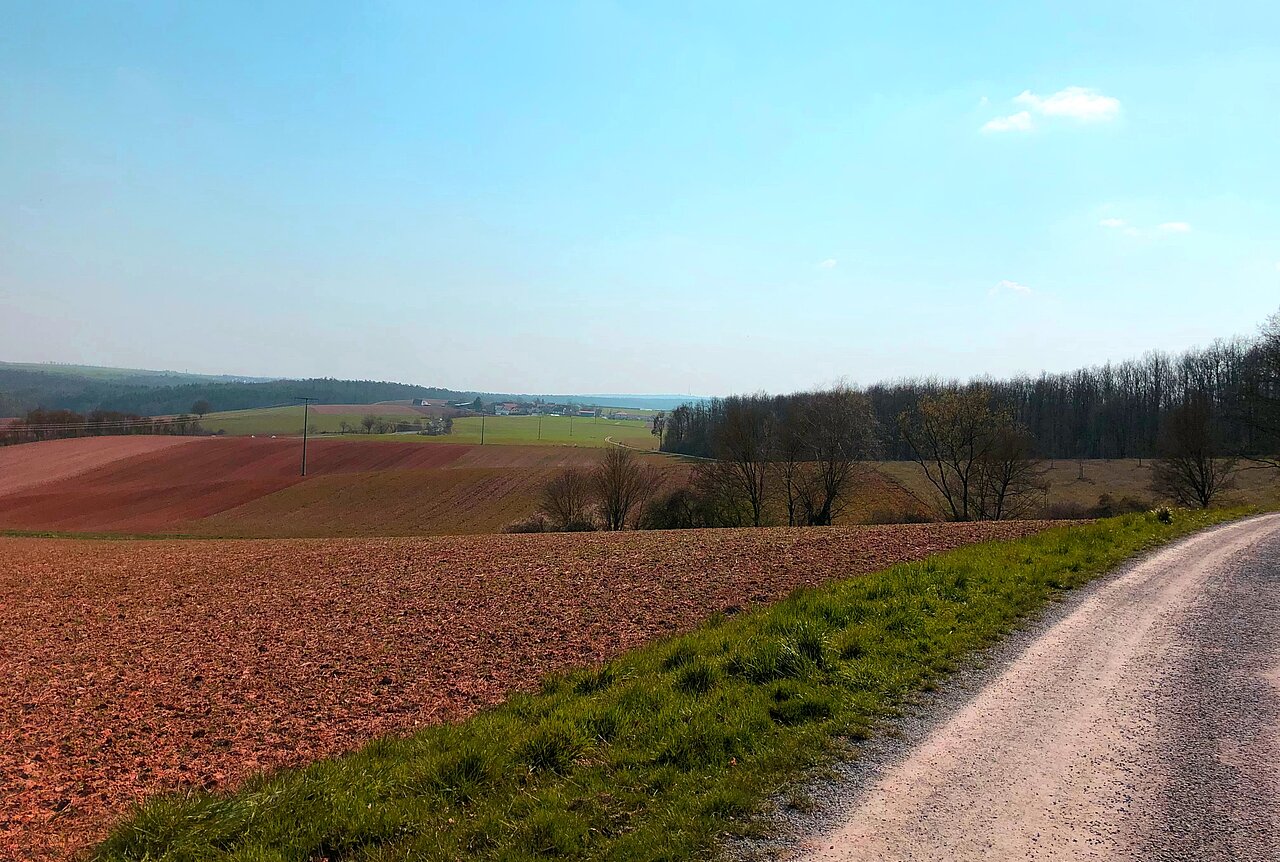 Gadheimer Wald.jpg