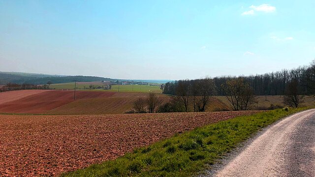 Gadheimer Wald