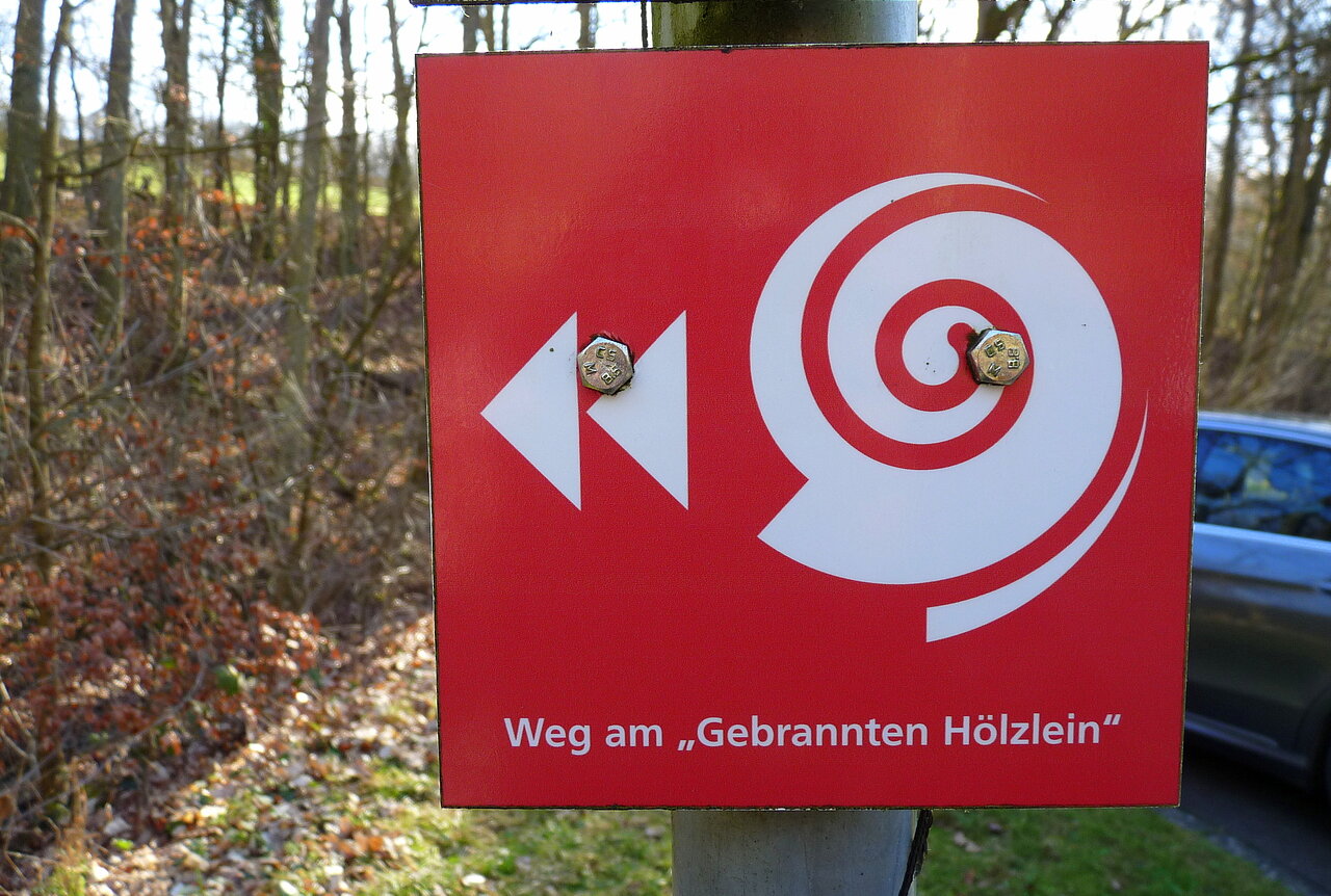 Weg am Gebrannten Hölzlein.jpg Weg am Gebrannten Hölzlein.jpg