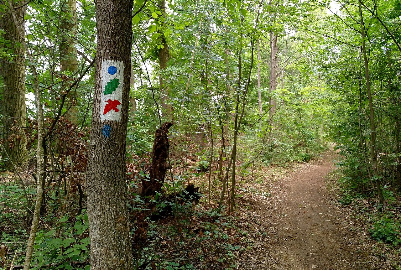 Wanderweg Schnepfe Veitshöchheim.jpg Wanderweg Schnepfe Veitshöchheim.jpg