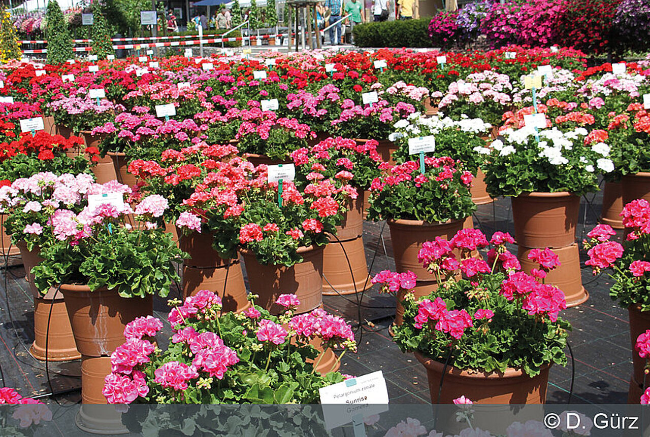 Tag der offenen Tür