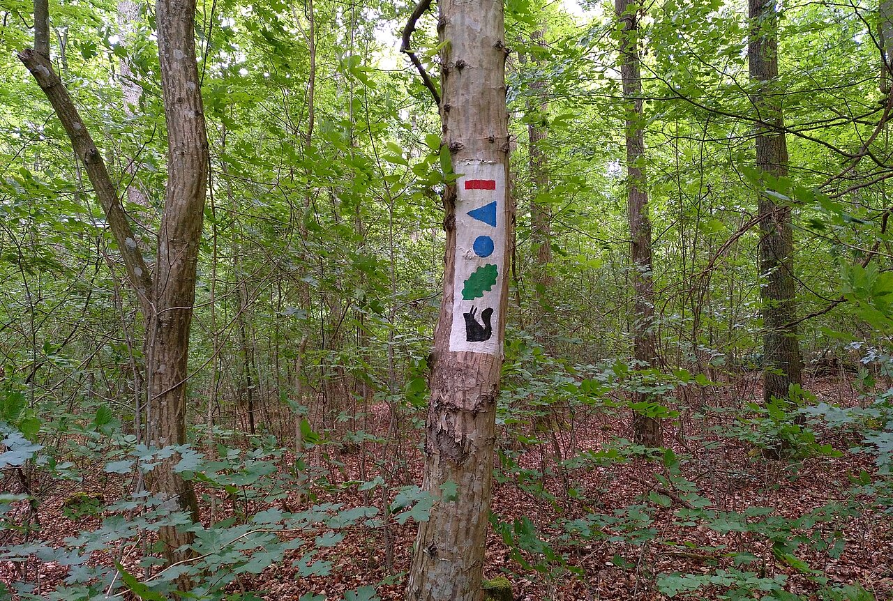 Wanderweg Roter Strich Veitshöchheim.jpg Wanderweg Roter Strich Veitshöchheim.jpg