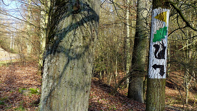 Gelber Keil