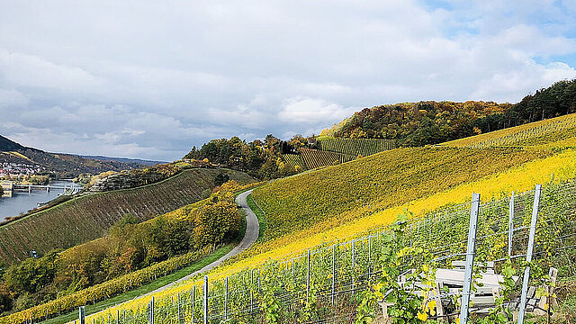 Mainwanderweg