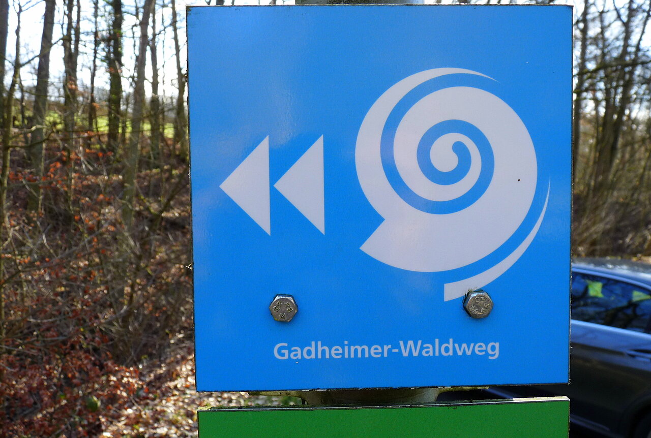 Gadheimer Waldweg.jpg Gadheimer Waldweg.jpg