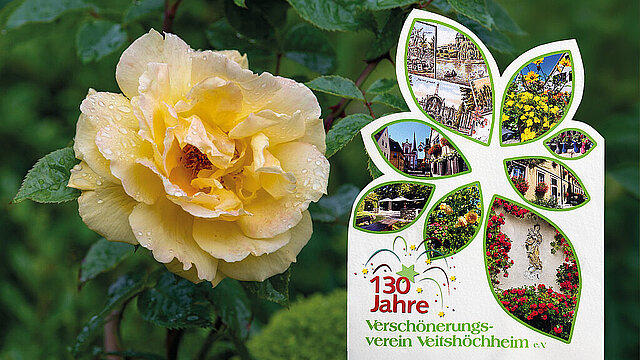 Verschönerungsverein Veitshöchheim: »Gartenpracht mit Kunstgenuss«