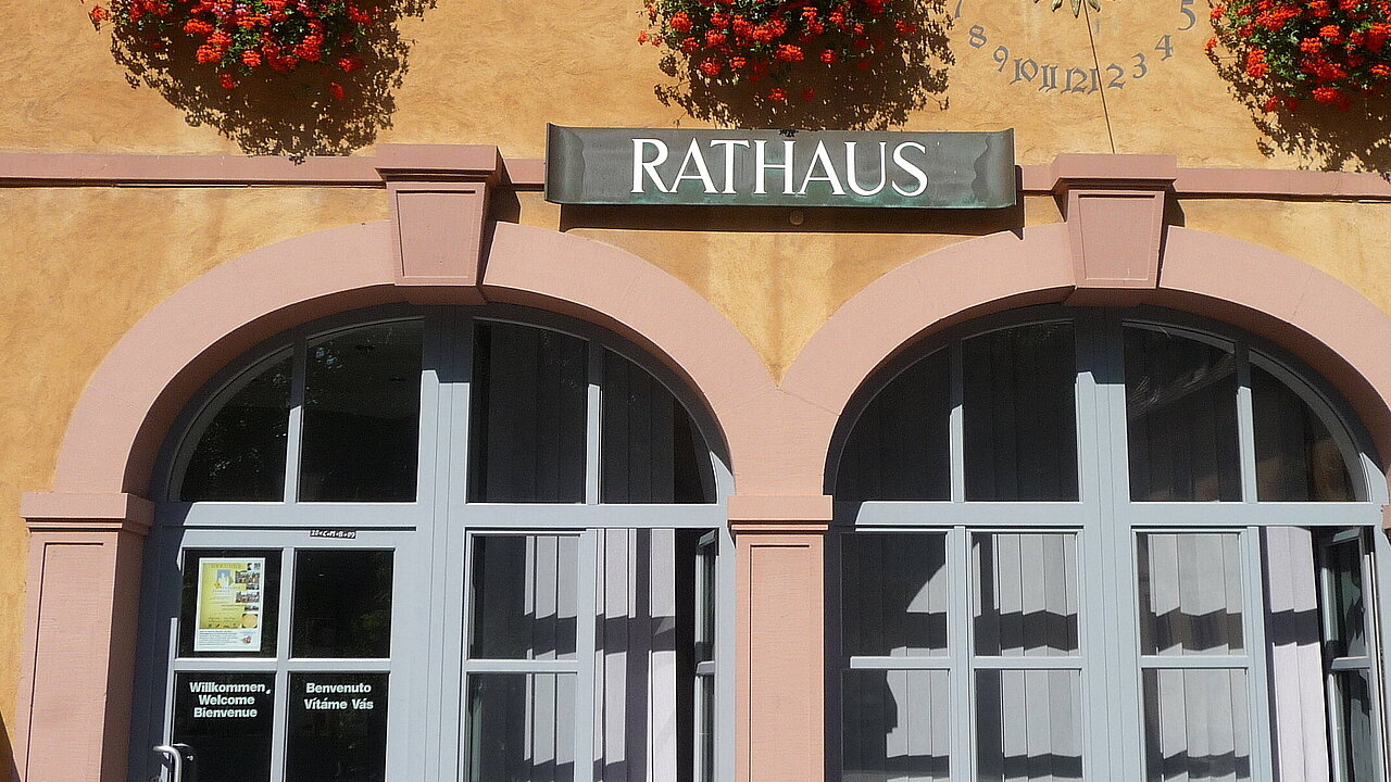 Rathaus & Politik