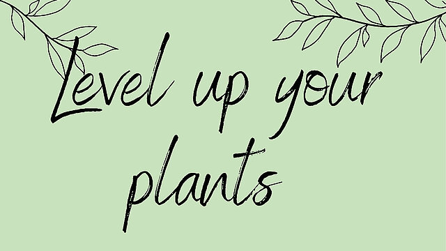 Workshoptag: Level Up Your Plants!