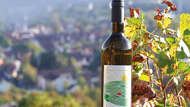 Wein-Spaziergang am Sonnenschein