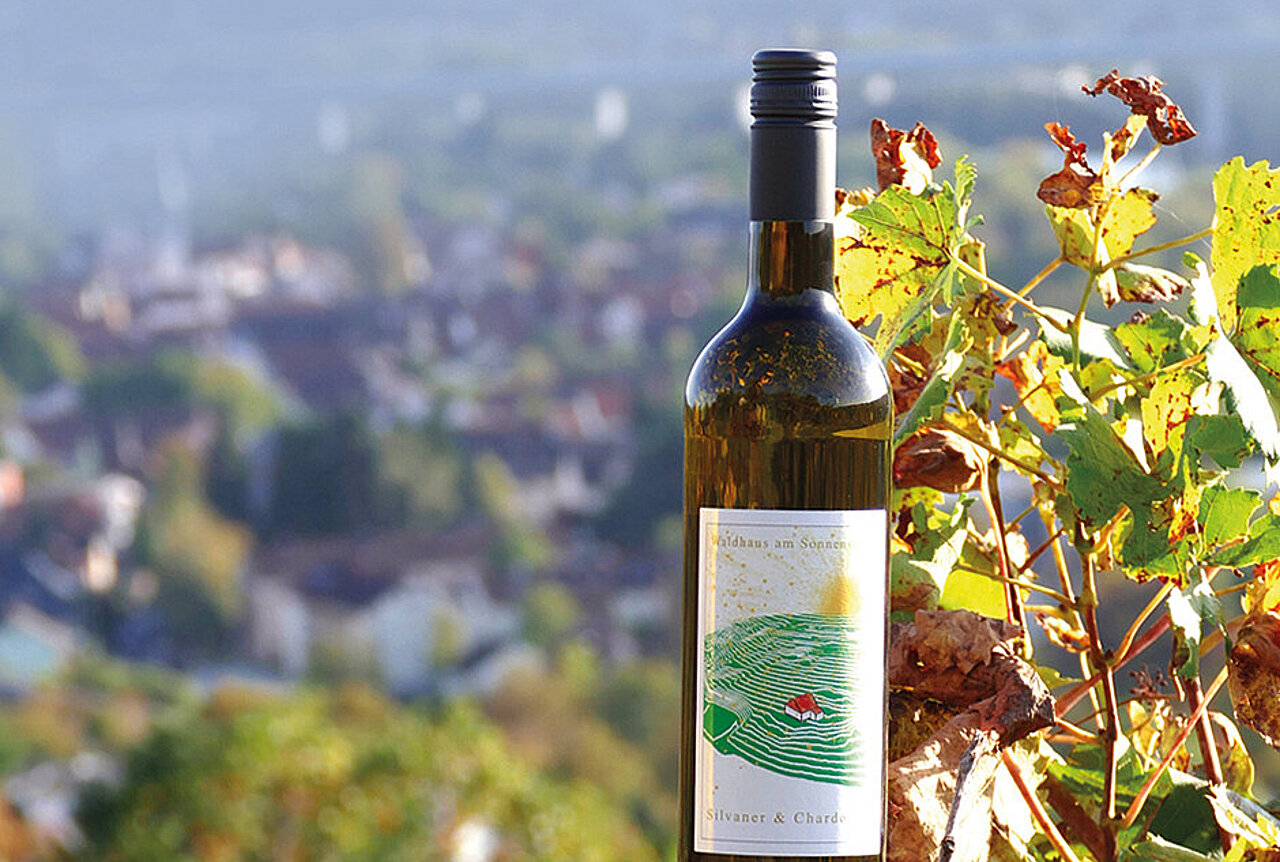 Foto: Franz Erich Kollroß