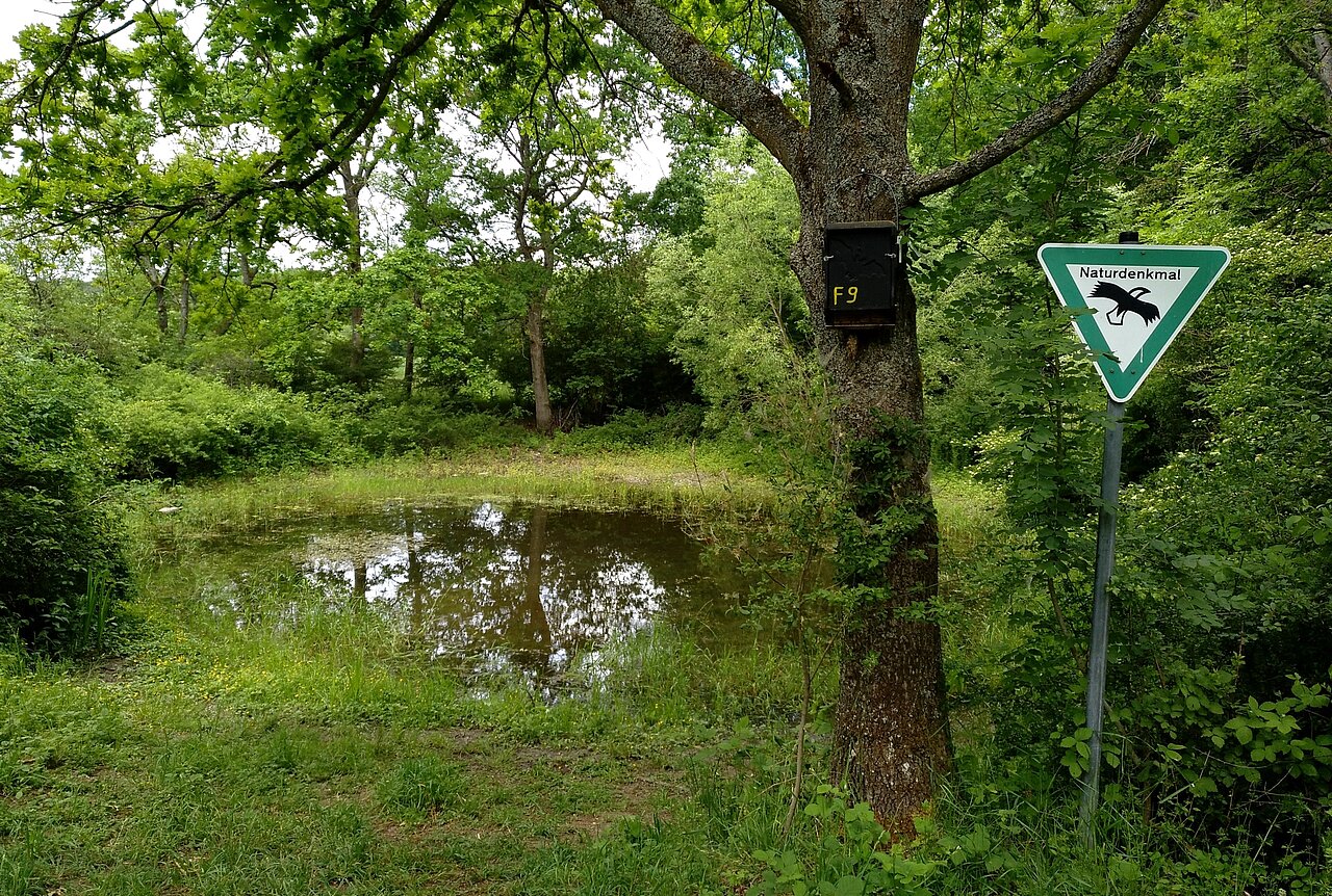 Seelein Veitshöchheim.jpg