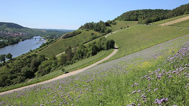 Panoramablick-Wanderung