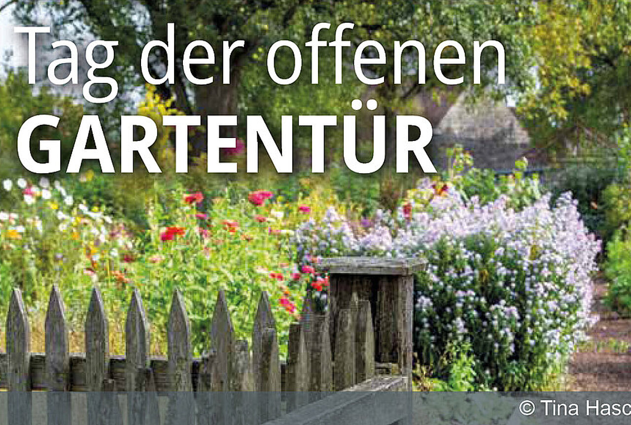 Foto: Tina Hasch